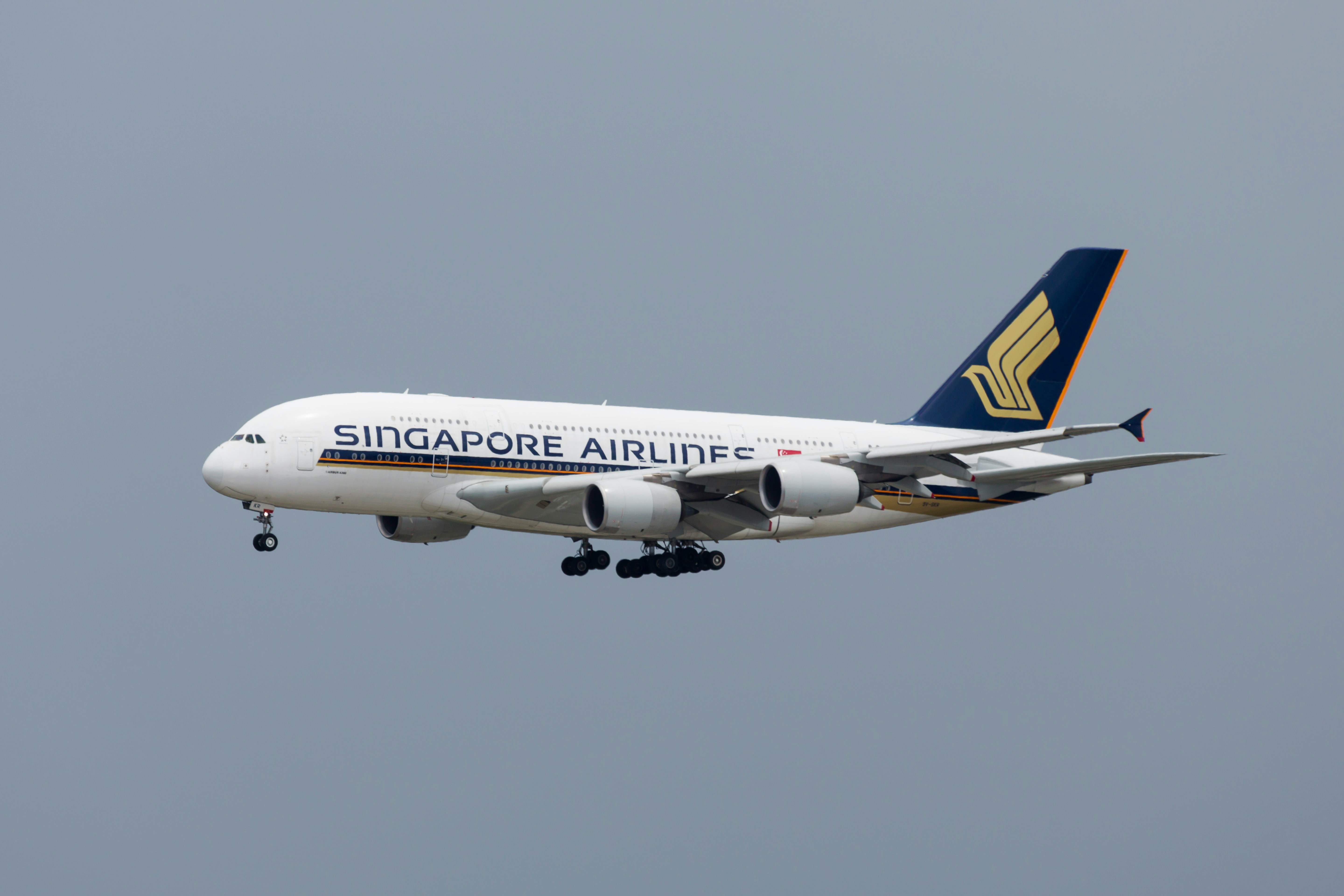 Singapore airlines jet in mid air with landing wheels on.